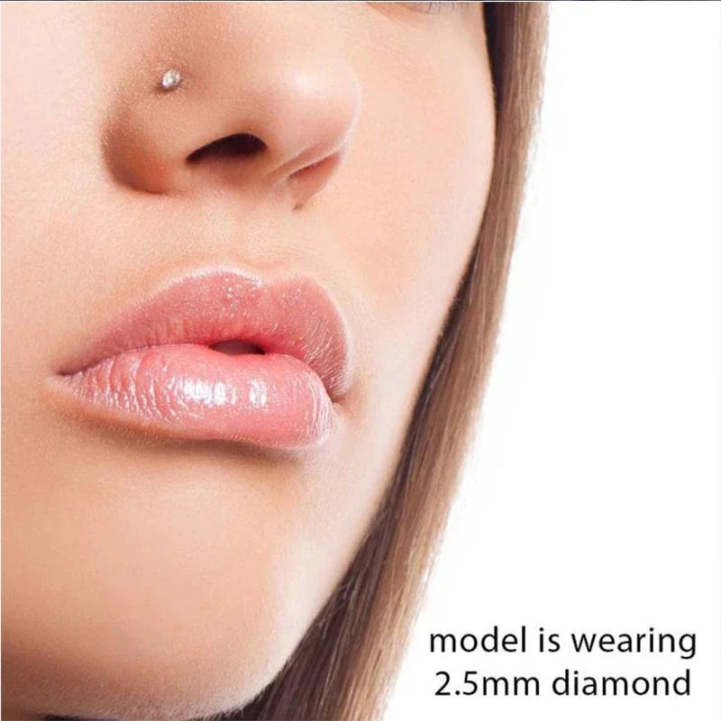 Ensemble de 8 Anneaux de Nez Courbés en Acier Inoxydable avec Zircon, Piercings de Qualité pour Le Corps